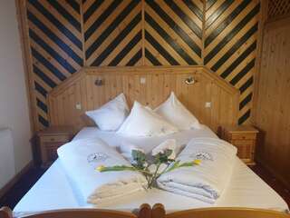 Апарт-отели Wisła Mountain SPA Висла Улучшенный номер с кроватью размера «king-size»-2